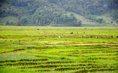 1649227501483186.png image.png