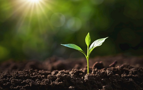 1653535499176418.png image.png