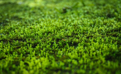 1656643834167264.png image.png