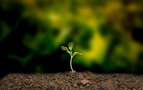 1658373243940284.png image.png