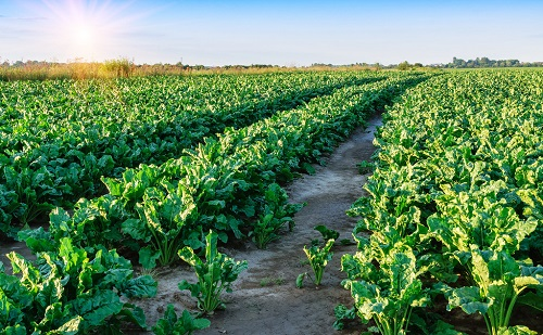 1660619030237301.png image.png