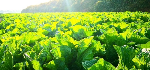 1661741679168423.png image.png