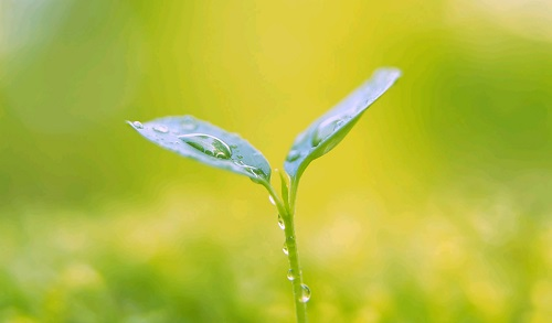 1663912472154827.png image.png