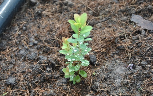 1664333191385533.png image.png