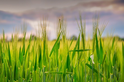 1665207655361968.png image.png