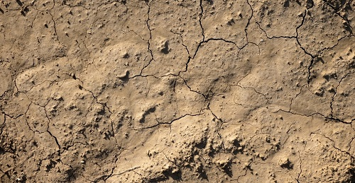 1668145418161224.png image.png