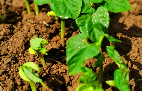 1670396946206676.png image.png