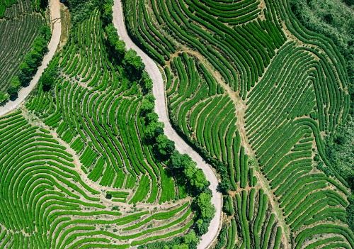 1670832729617170.png image.png