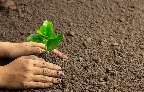 1671520610185083.png image.png