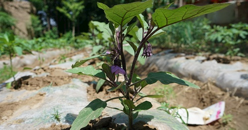 1671779454203861.png image.png