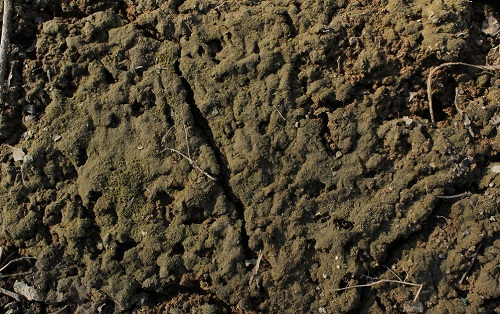 1672293291733685.png image.png