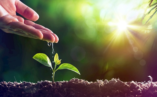 1674888853180812.png image.png