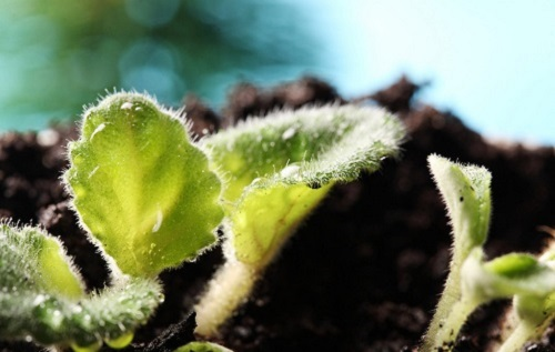 1674973611173067.png image.png