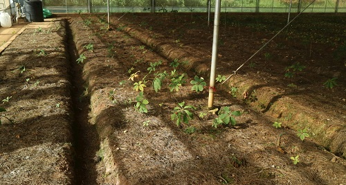 1675144367446157.png image.png