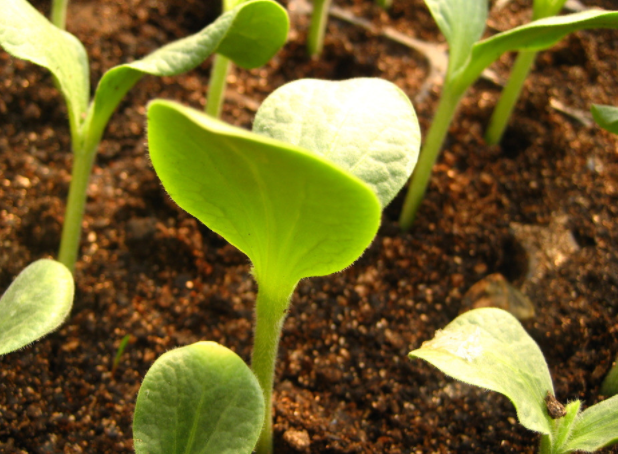 1681363669589816.png 1681363669589816.png