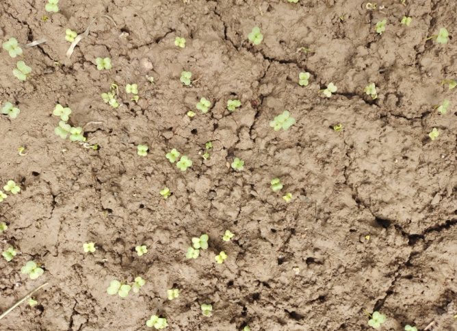 1683517308180075.png 1683517308180075.png