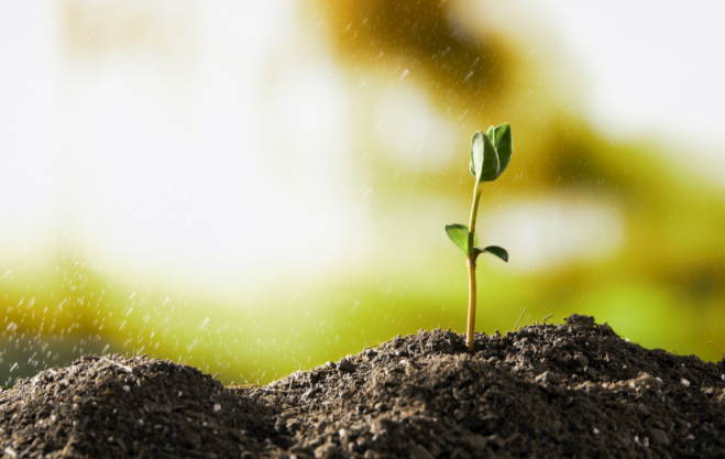 1683775972167697.png 1683775972167697.png