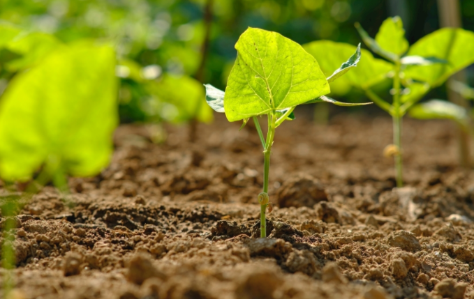 1684466472197634.png 1684466472197634.png